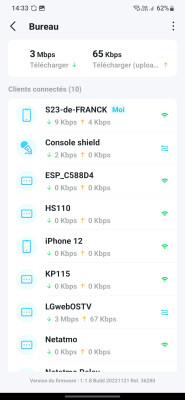 appli deco nr 2.jpg
