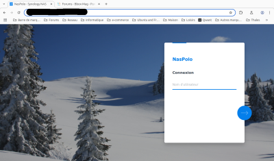 Login_syno.png