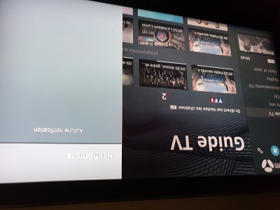 Notification miami.jpg